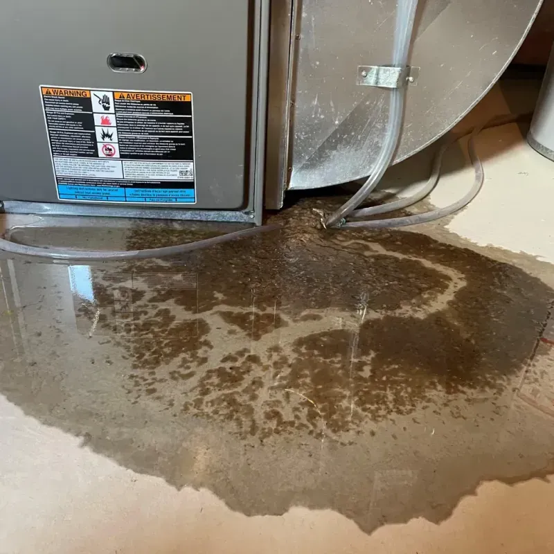 Appliance Leak Cleanup in Cross Lanes, WV